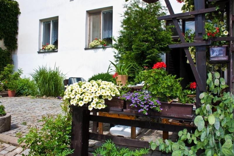 Privat No. 40 * Telc